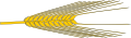 Wintergetreide