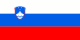 Flagge Slowenien