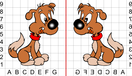 Hund; Spiegelung