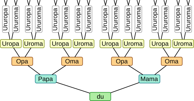 Stammbaum