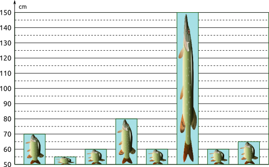 Fischdiagramm
