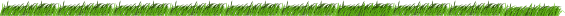 Gras
